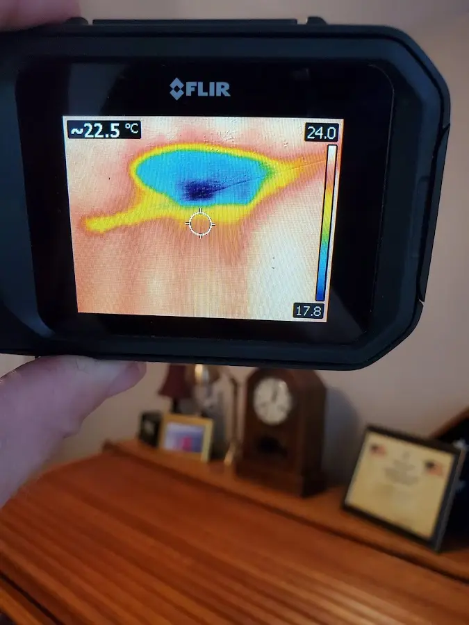 Thermal imaging inspection for water damage in Richmond Heights
