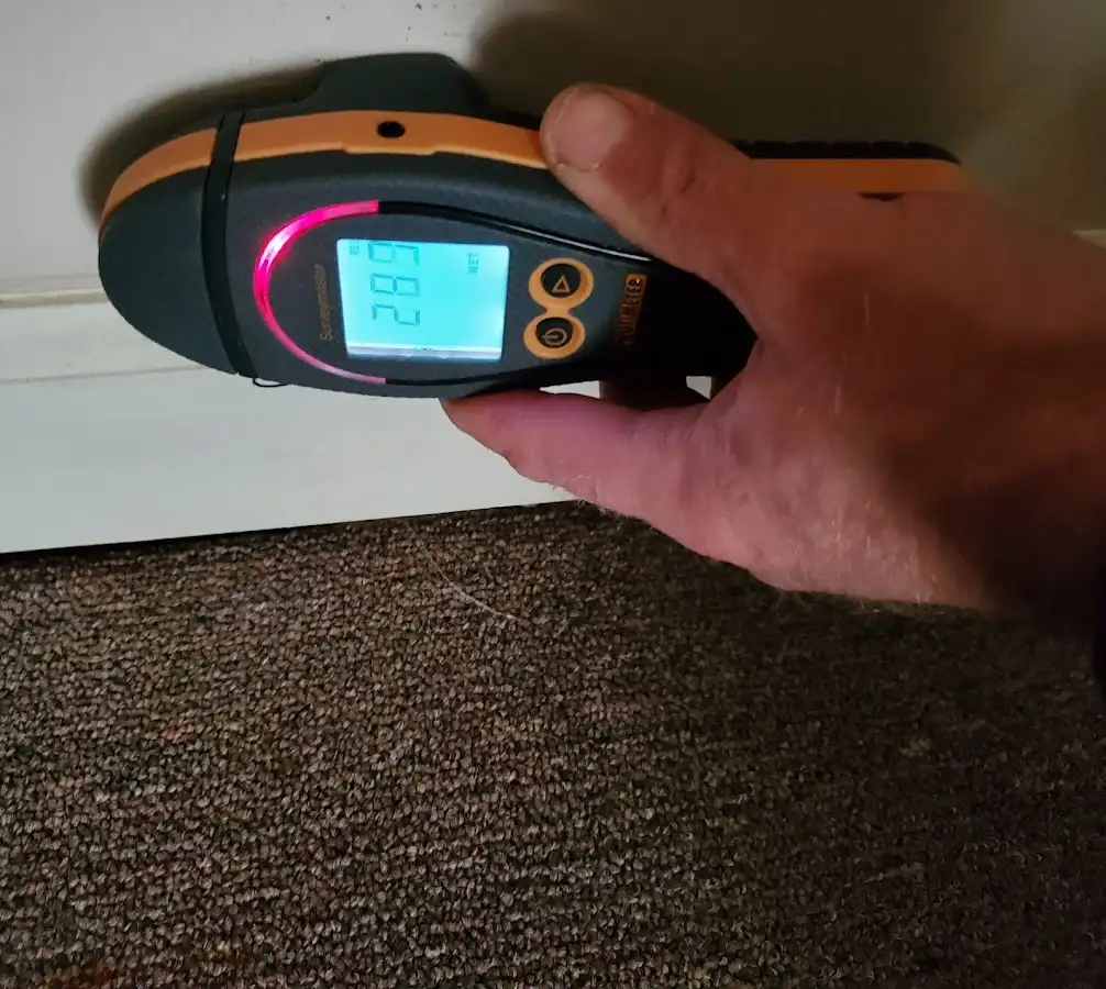 Moisture detection at baseboard during Burst Pipe Cleanup in Richmond Heights